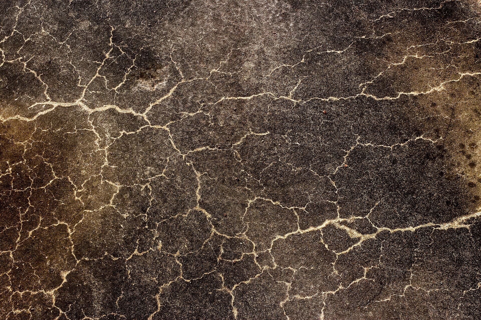 A cracked concrete floor in an abandoned warehouse